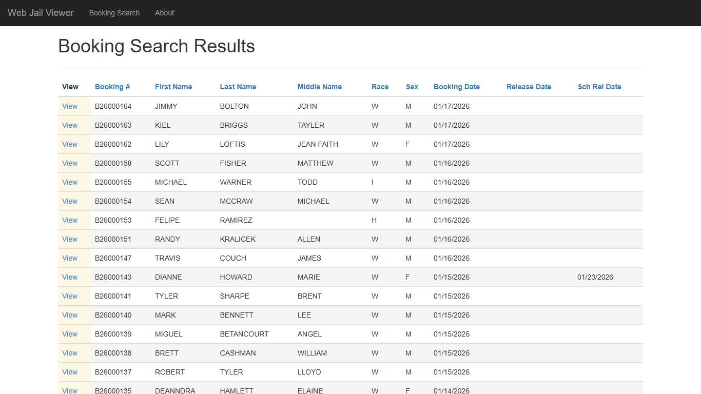 BookingSearchDetail - Web Jail Viewer